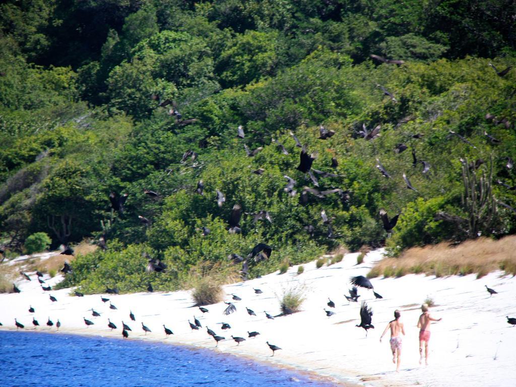 Pousada La Bonita Baía Formosa Kültér fotó