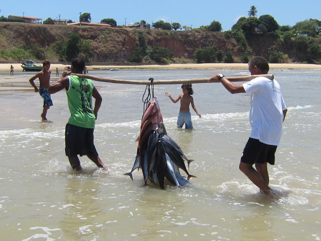 Pousada La Bonita Baía Formosa Kültér fotó