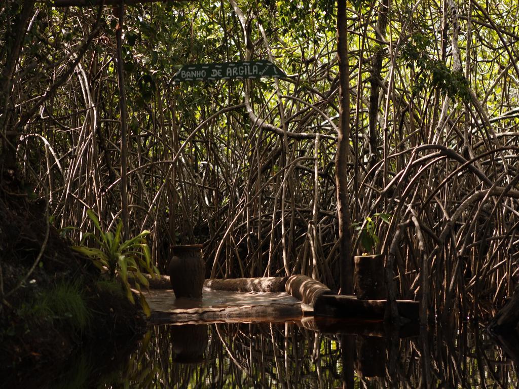 Pousada La Bonita Baía Formosa Kültér fotó