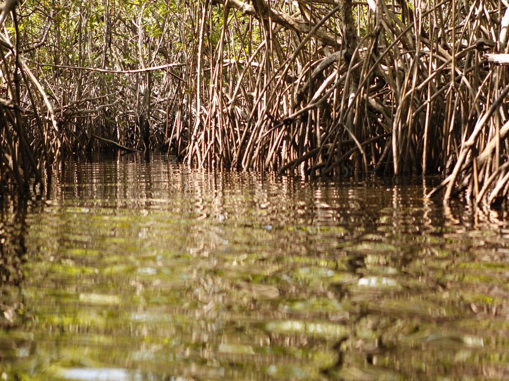 Pousada La Bonita Baía Formosa Kültér fotó